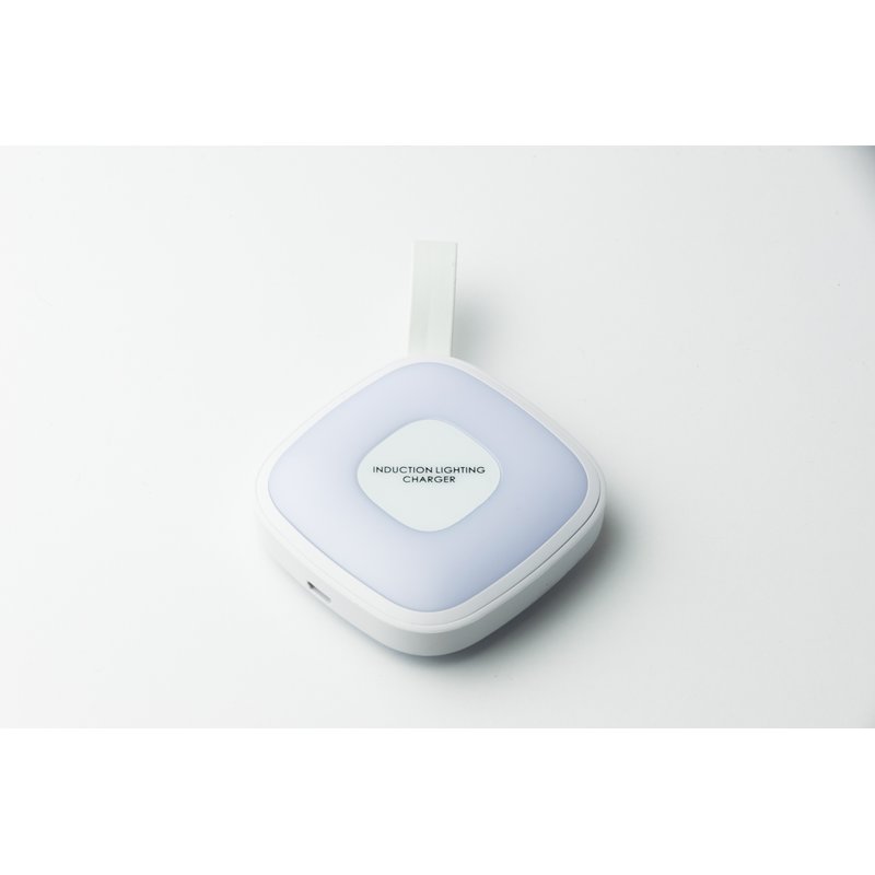 Tragbare Ladestation mit Handtaschenlicht, Powerbank und USB-Ausgang