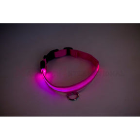 Sicherheit und Style für deinen Hund: LED-Leuchthalsband in 5 Farben und verschiedenen Größen